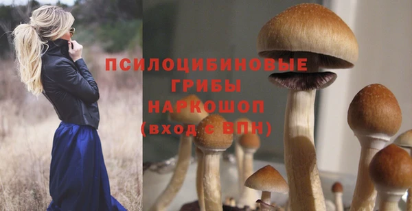 тгк Арсеньев