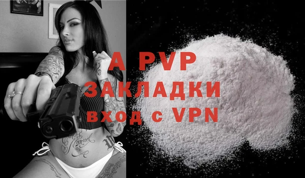 тгк Арсеньев
