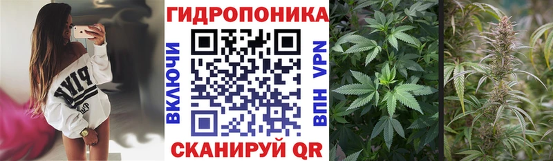 Конопля Bruce Banner  hydra рабочий сайт  Сертолово  хочу наркоту 